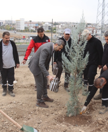 WhatsApp Image 2025-11-13 at 11.51.06 (2)