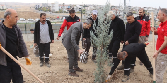 TPAO Batman Bölge Müdürlüğü’nden Yeşil Vatan Seferberliğine 500 Fidanlık Katkı