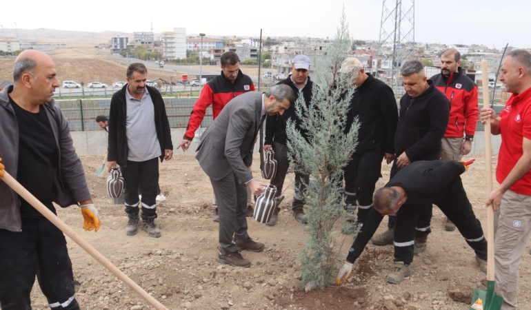 WhatsApp Image 2025-11-13 at 11.51.06 (2)