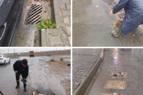 WhatsApp Image 2025-11-16 at 21.41.30