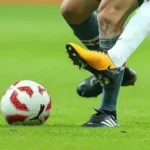 Gercüş’te binlerce balık gölete dönemeyince telef oldu thumbnail