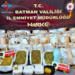 İl Özel İdaresi Beşiri’de 69 kilometrelik yol ağına dokundu thumbnail