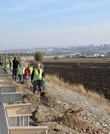 Ekran görüntüsü 2025-12-06 124413