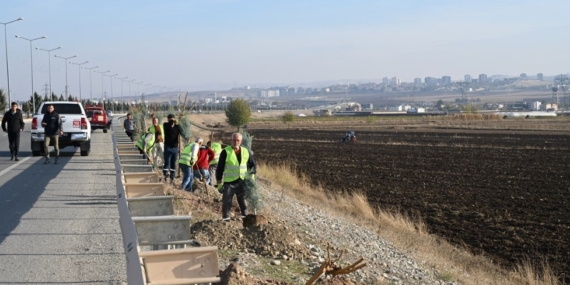 Yeşil Kuşak Batman Projesi; 15 Bin fidan toprakla buluşuyor