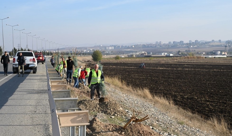 Ekran görüntüsü 2025-12-06 124413