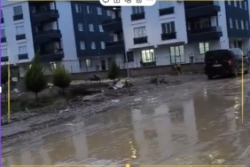 Ekran görüntüsü 2025-12-11 123610