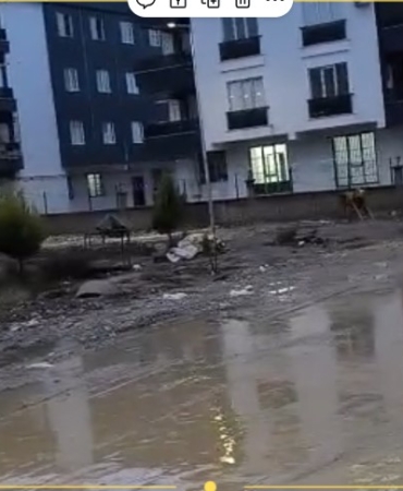 Ekran görüntüsü 2025-12-11 123610