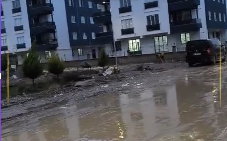 Ekran görüntüsü 2025-12-11 123610