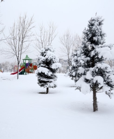 Ekran görüntüsü 2025-12-29 154332