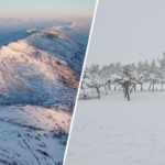 Futbolda yeni kural üzerinde çalışma: '10 dakika' cezası verilecek thumbnail