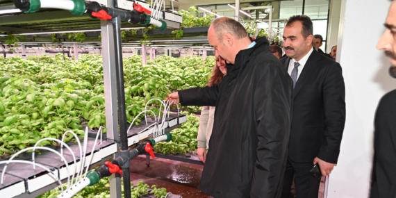 Batman’da ‘Topraksız Tarım’  büyüyor