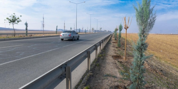 Batman – Güney Çevre Yolunda 3 binin üzerinde fidan toprakla buluşuyor