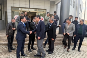 WhatsApp Image 2025-12-01 at 11.55.24