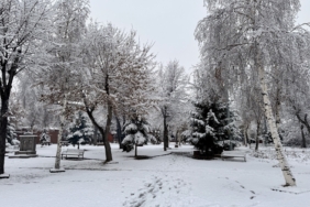 WhatsApp-Image-2025-12-02-at-10.07.49-1