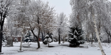 WhatsApp-Image-2025-12-02-at-10.07.49-1