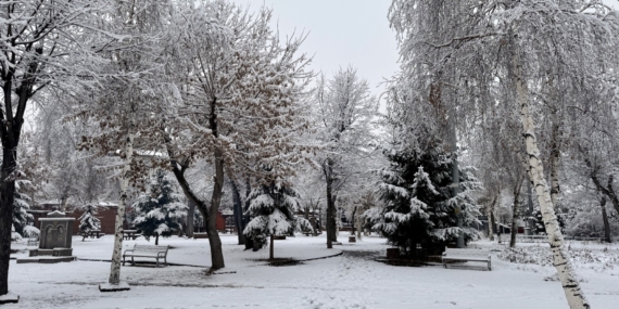 Erzurum, Kars, Ardahan, Ağrı ve Dersim’de kar yağışı etkili oldu
