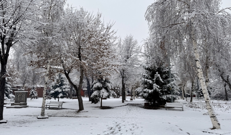 WhatsApp-Image-2025-12-02-at-10.07.49-1