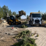 Batmanlı İlham Yıldız’a önemli görev: Saadet Partisi İsveç temsilciliği thumbnail