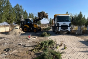 WhatsApp Image 2025-12-03 at 12.53.33