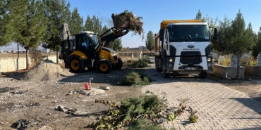 WhatsApp Image 2025-12-03 at 12.53.33