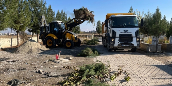 Mezarlıklarda parke onarımı ve ağaç budama çalışmaları başladı