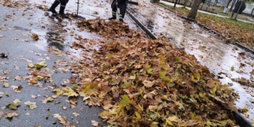 WhatsApp Image 2025-12-08 at 11.22.35 (2)