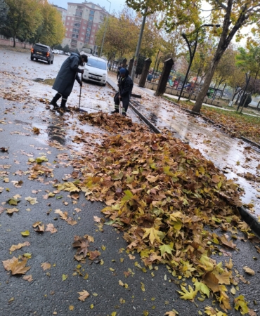 WhatsApp Image 2025-12-08 at 11.22.35 (2)