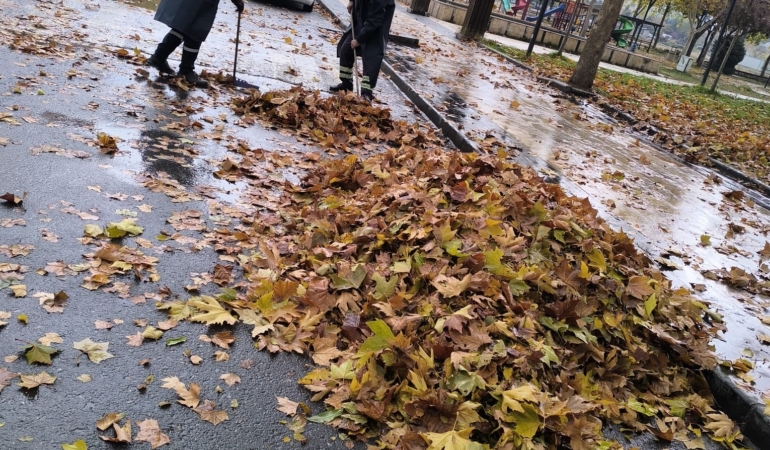 WhatsApp Image 2025-12-08 at 11.22.35 (2)