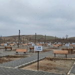 “Kadın cinayetlerine ve sağlıkta şiddete hayır” thumbnail