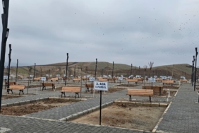 WhatsApp Image 2025-12-11 at 09.29.41