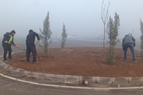 WhatsApp Image 2025-12-22 at 11.42.31