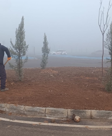 WhatsApp Image 2025-12-22 at 11.42.31