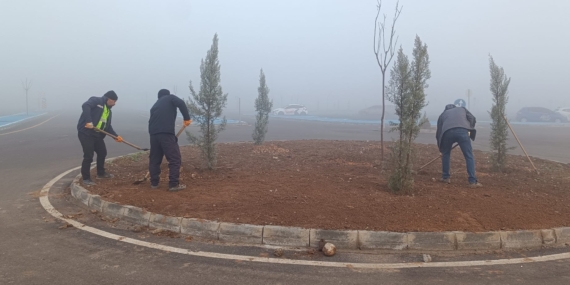 Batman Sürücü Akademisi yeşile bürünüyor