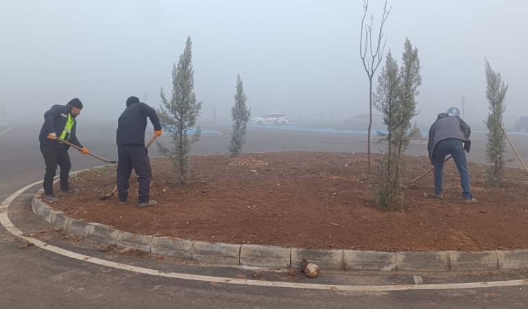 WhatsApp Image 2025-12-22 at 11.42.31