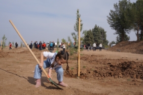 WhatsApp Image 2025-12-24 at 13.31.49 (1)