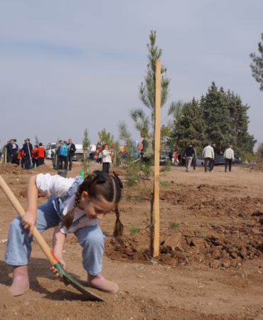 WhatsApp Image 2025-12-24 at 13.31.49 (1)