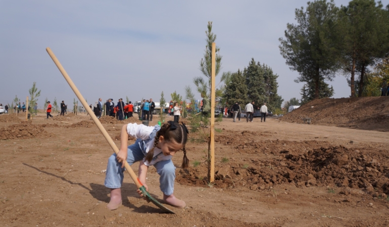 WhatsApp Image 2025-12-24 at 13.31.49 (1)