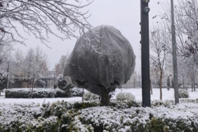 WhatsApp Image 2025-12-30 at 10.07.02 (1)