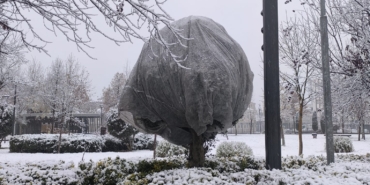 WhatsApp Image 2025-12-30 at 10.07.02 (1)