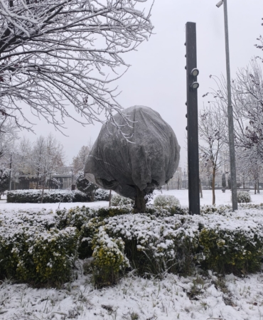 WhatsApp Image 2025-12-30 at 10.07.02 (1)