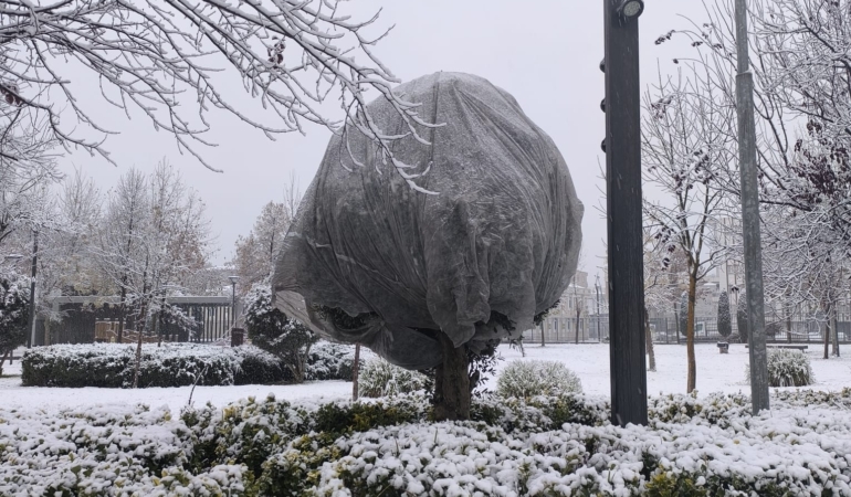 WhatsApp Image 2025-12-30 at 10.07.02 (1)