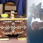 DEM Parti’li Koçyiğit: İmralı artık barış ve çözüm adasıdır thumbnail