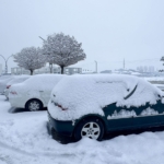 Özel’den ‘ana dil’ açıklaması: Neden karşı çıkalım? thumbnail