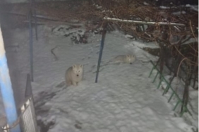 Ekran görüntüsü 2026-01-02 113845