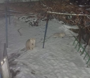 Ekran görüntüsü 2026-01-02 113845