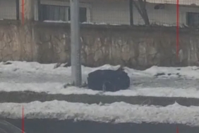 Ekran görüntüsü 2026-01-02 172524