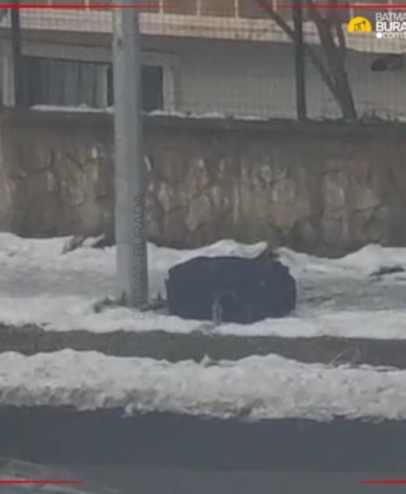 Ekran görüntüsü 2026-01-02 172524