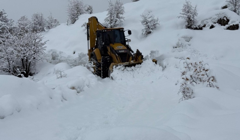 Ekran görüntüsü 2026-01-15 161600