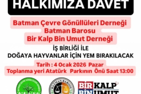 WhatsApp Image 2026-01-02 at 11.16.40 (1)