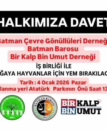 WhatsApp Image 2026-01-02 at 11.16.40 (1)